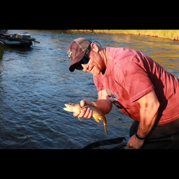 Meet your Posher, Jerry - Picture 5 of 8